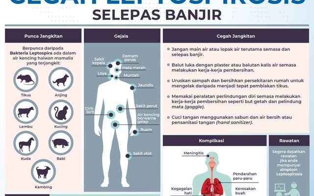 CEGAH PENYAKIT KENCING TIKUS