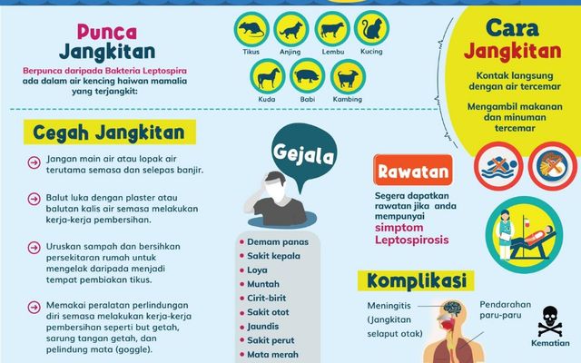 CEGAH PENYAKIT KENCING TIKUS